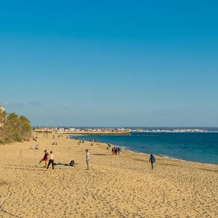Centric Palma de Mallorca